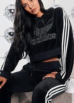 Adidas originals оксамитовий костюм кроп худі лосини