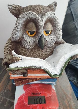 Скарбничка сова на книжці