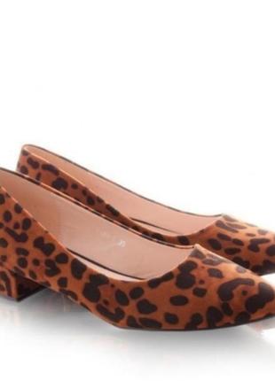 Туфлі леопард2 фото