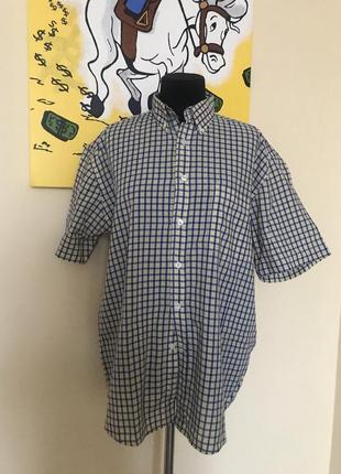 Теніска бавовняна бренд