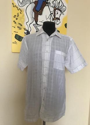 Теніска бавовняна