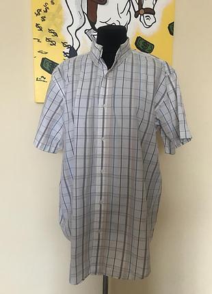 Теніска бавовняна