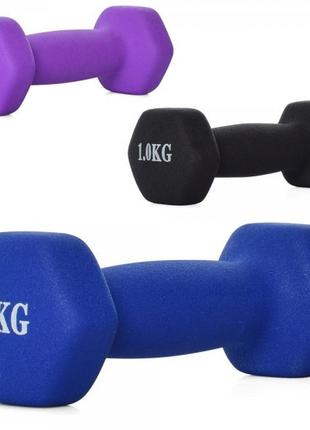 Гантель ms-0109-1 1 кг металева гантель для фітнесу