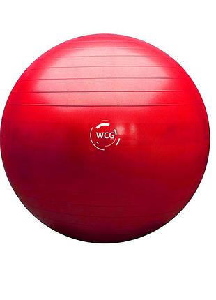 М'яч для фітнесу (фітбол) wcg 75 anti-burst 300 кг рожевий набивний м'ячик фітнесний