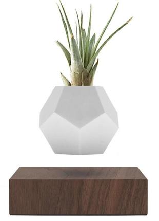 Левитирующий вазон flyte planter парящий вазон (орех) trn