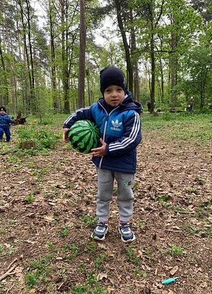Куртка адидас на хлопчика