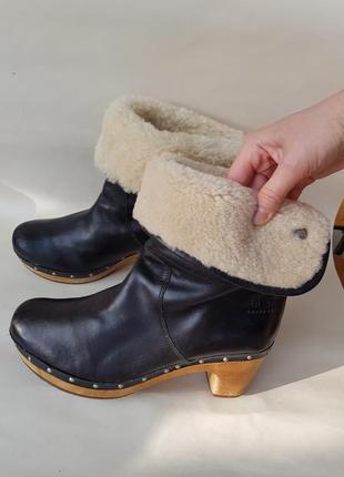 Стильні чоботи на овчині ugg з каблучком3 фото