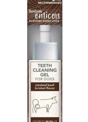 Гель для чистки зубов tropiclean (тропиклин)  enticers teeth cleaning gel no brush -59мл4 фото