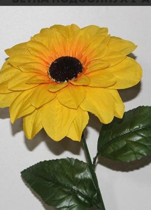 Подсолнух, поштучно. диаметр  цветка 22 см, высота 68 см.1 фото