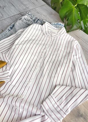 Стильна базова катонова рубашка h&m4 фото