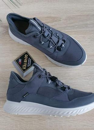 Жіночі кросівки gore ecco exostride w low gore-tex