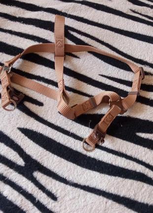 Шлея для собак трикси