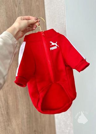 Олімпійка для собак спортивна кофта puma для собак кофта для тварин кофта на блискавці для собак