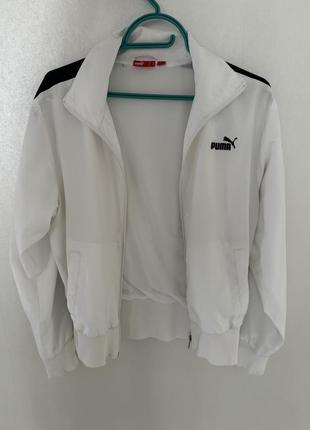 Олимпийка/бомбер/сип