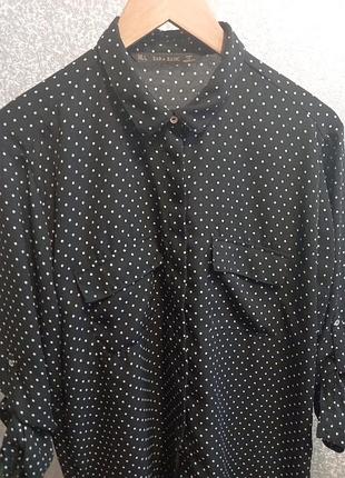 Блузка zara, блузка, сорочка, сорочка в горох ,шифонова блузка