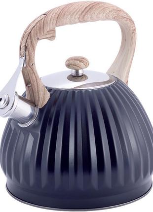 Чайник kamille whistling kettle black 3л з нержавіючої сталі зі свистком, чорний