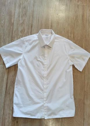 Теніска чоловіча. класичний одяг