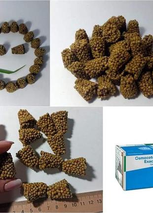 Добриво для німфей osmocote exact tablets
