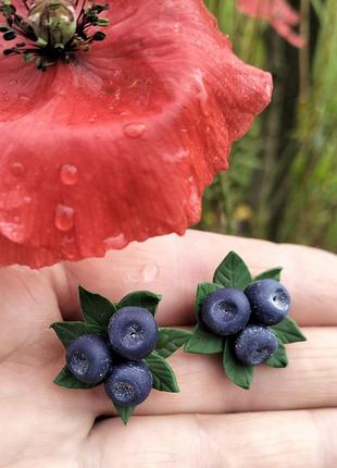 Серьги черники