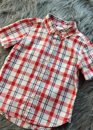 Тенниска в клетку