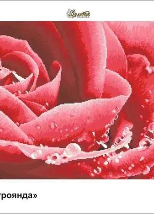 Заготовка для вышивки тм золотая подкова красная роза зпк-002