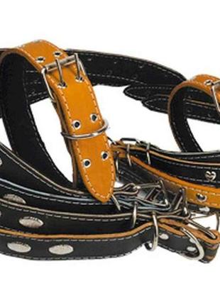 Ремінець-ошийник, шкіряний h=30мм арт.107 тм харків