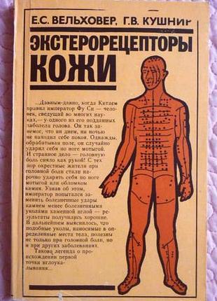 Экстерорецепторы кожи. е. вельховер, г.кушнир. рефлексотерапия