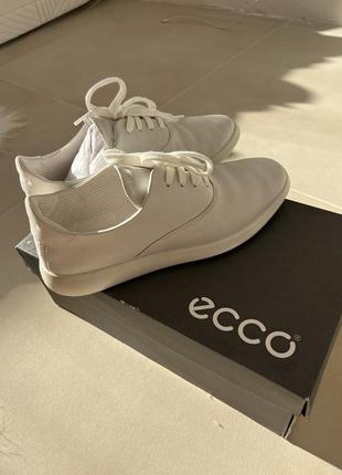 Ecco оригинал 38 размер