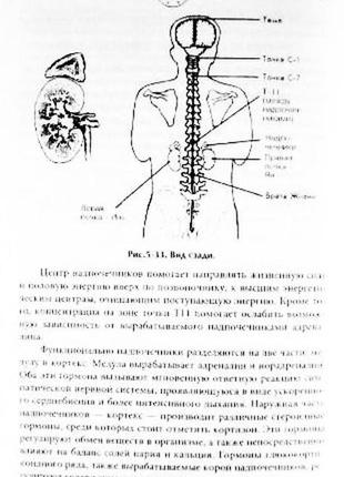 Дао - пробуждение света. психоэнергетический тренинг. мантэк чиа