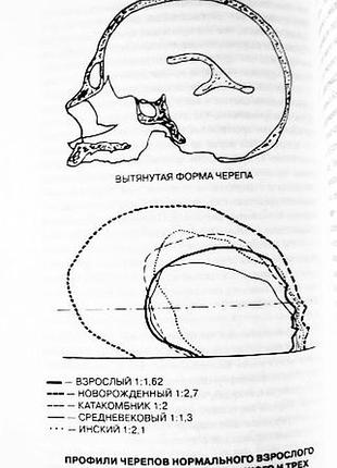 Язык богов. что смыла вода всемирного потопа. роман доля
