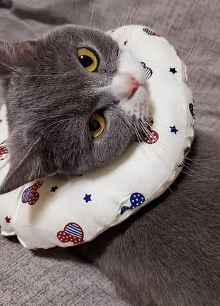 Комір воротник для котів собак захисний