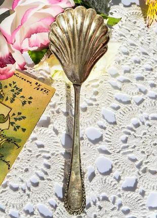 Великолепная антикварная сервировочная ложка- ракушка! серебро,800* германия!