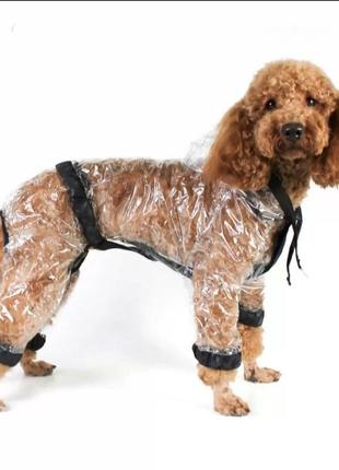 Дощовик для собаки