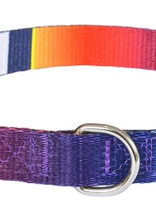 Нашийник animall m-3, для собак, нейлон, 2.0×33-50 см