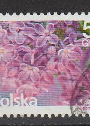 2015 - польша - стандарт - сирень - mi.4810 _гаш