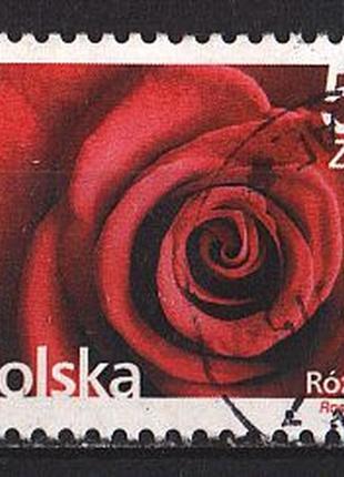 2015 - польша - стандарт - роза mi.4789 _3.40 eu