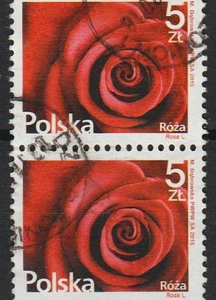 2015 - польша - стандарт - роза - пара mi.4789 _6.80 eu