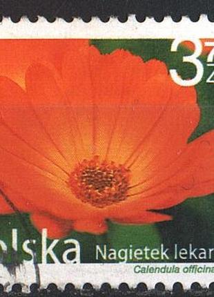 2009 - польша - стандарт - ноготки mi.4439  _2,50 eu
