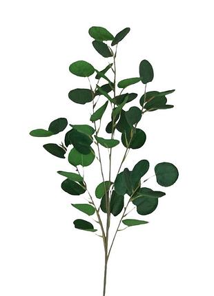 Штучний евкаліпт eucalyptus, гілка, зелений штучний евкаліпт, гілка, зелений