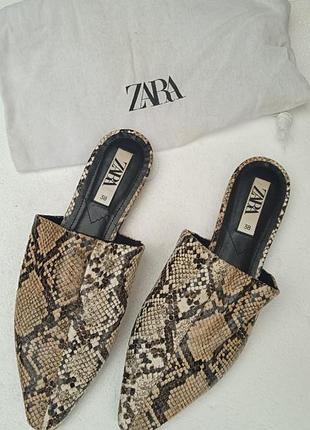Шлепки мюли zara.