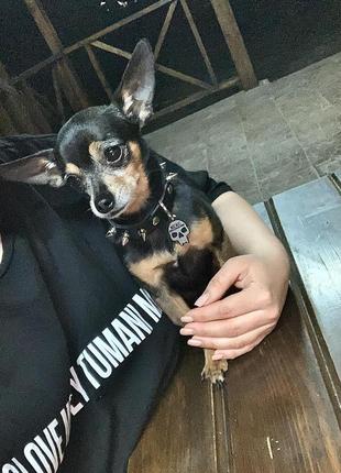 Ошейник шипами  "lockdog" на маленькую собаку