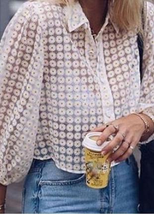 Блуза zara в ромашки