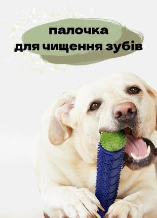 Зубна щітка для чищення ясен собак самоочисна гумова собача кістка, жувальна іграшка-кісточка для зубів