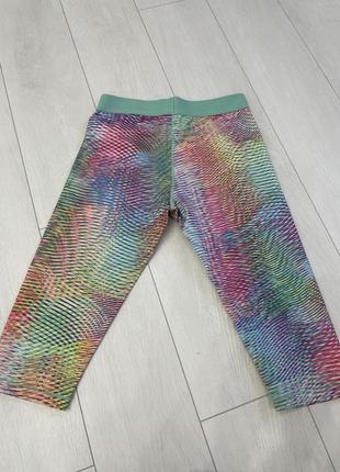 Лосіни лосіни 3