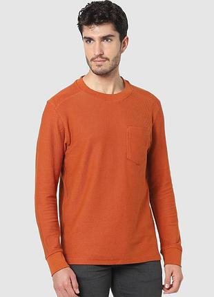 Лонгслив celio