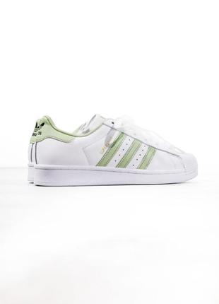 Кросівки adidas superstar white/green