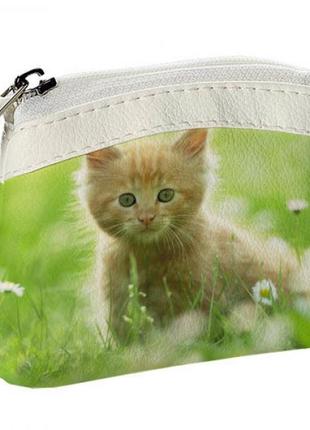 Дитячий гаманець kid кошеня у кульбабах