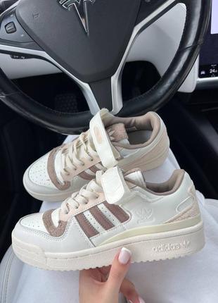 Жіночі кросівки roupas adidas forum 84 low white brown