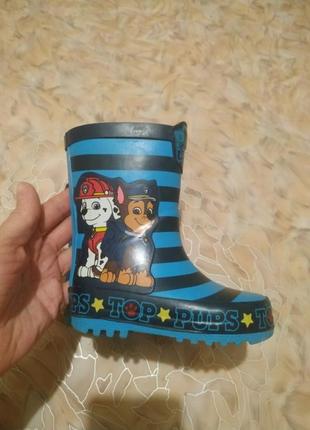 Гумові чобітки