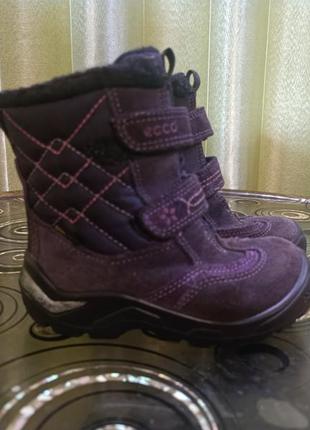 Дитячі шкіряні чобітки eco